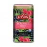 Hyson Romance Berry herbata zielona 100g