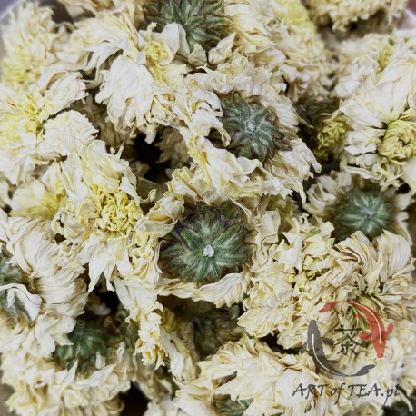 Kwiat chryzantemy (Ju Hua)