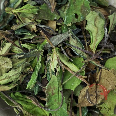 Herbata biała Shou Mei (寿眉)
