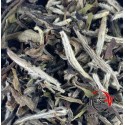 Lao Bai Mu Dan – Aged White Peony Tea