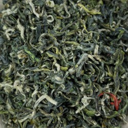 Herbata zielona Bi Luo Chun ( 碧螺春)(2023)