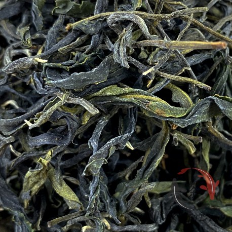 Herbata zielona Green Oriental Beauty (2023)