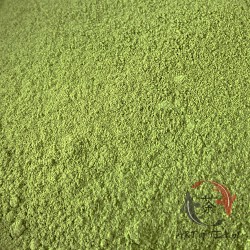 Herbata zielona Matcha z Fujian